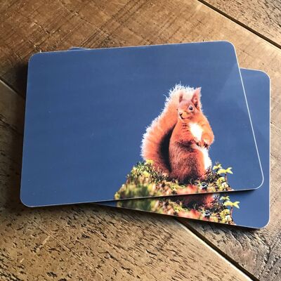 Red Squirrel Placemat (SD-PM-10-CHA)