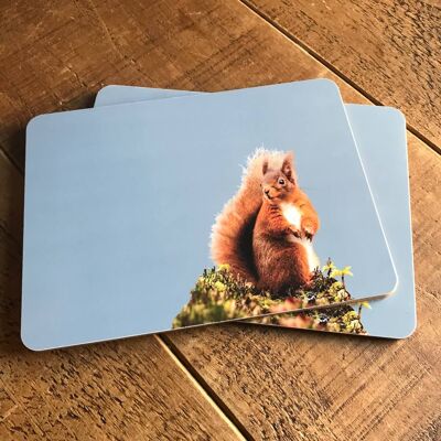 Red Squirrel Placemat (SD-PM-10-BLG)