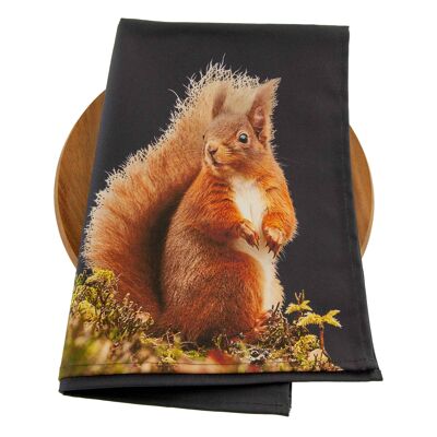 Red Squirrel Tea Towel (SD-TT-18-BLB)
