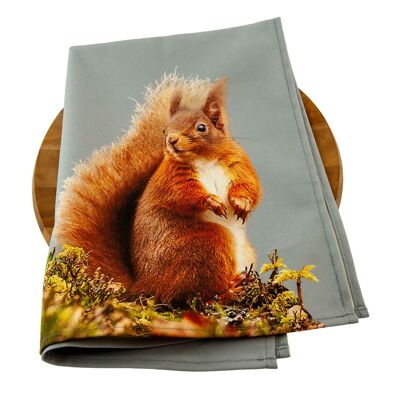 Red Squirrel Tea Towel (SD-TT-18-PLG)