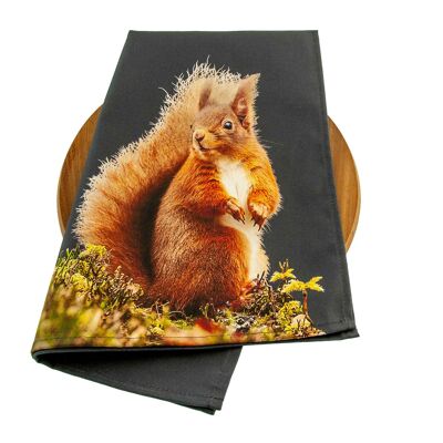 Red Squirrel Tea Towel (SD-TT-18-CHA)