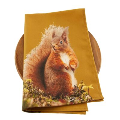 Red Squirrel Tea Towel (SD-TT-18-OCH)