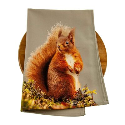 Red Squirrel Tea Towel (SD-TT-18-SGY)