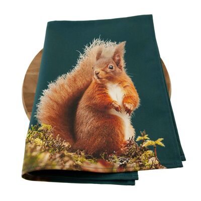 Red Squirrel Tea Towel (SD-TT-18-TLG)