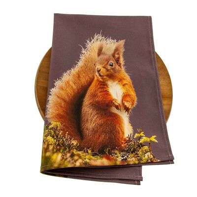 Red Squirrel Tea Towel (SD-TT-18-DSP)