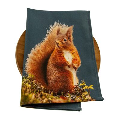Red Squirrel Tea Towel (SD-TT-18-STB)