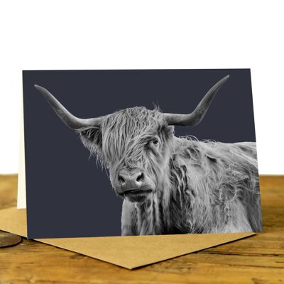 Shaggy Highland Cow Greeting Card (SD-GC-75L-39-CHA)