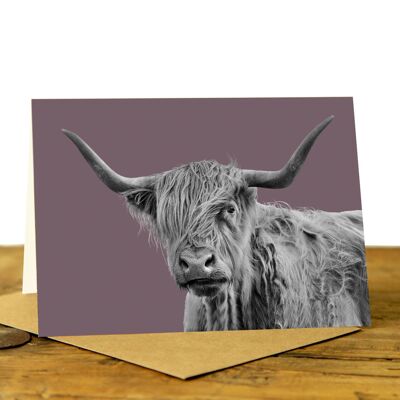 Shaggy Highland Cow Greeting Card (SD-GC-75L-39-DSP)