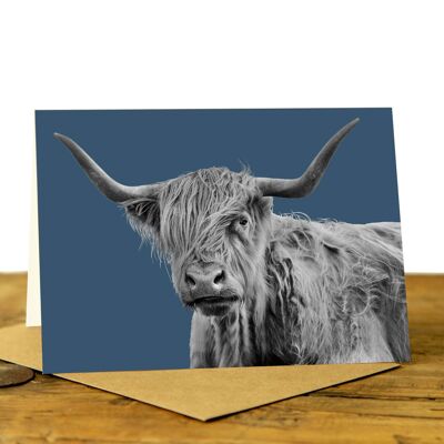 Shaggy Highland Cow Greeting Card (SD-GC-75L-39-IND)