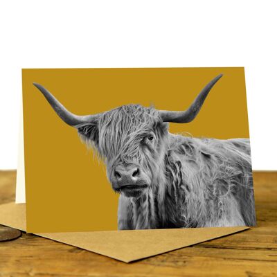 Shaggy Highland Cow Greeting Card (SD-GC-75L-39-MUS)