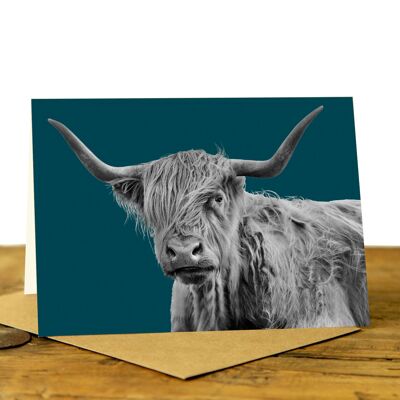 Shaggy Highland Cow Greeting Card (SD-GC-75L-39-TL)