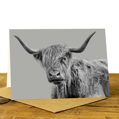 Shaggy Highland Cow Greeting Card (SD-GC-75L-39-SGY)