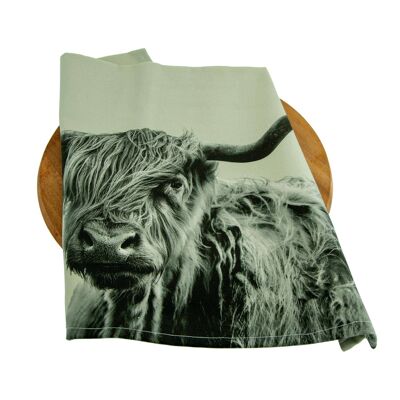 Shaggy Highland Cow Tea Towel (SD-TT-12-SGY)
