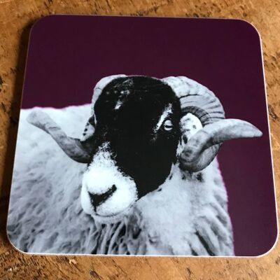 Sheep Coaster (SD-CO-18-MLB)