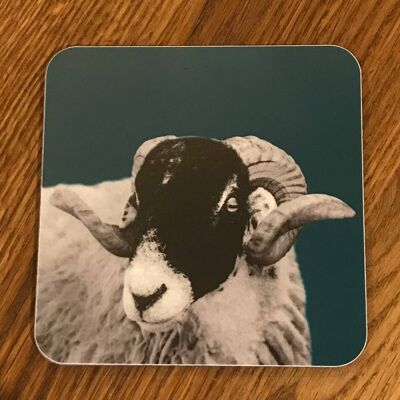 Sheep Coaster (SD-CO-18-TL)