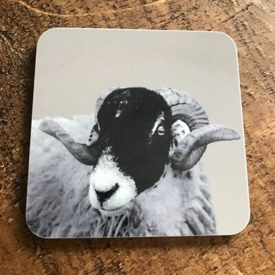 Sheep Coaster (SD-CO-18-SND)