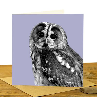 Tawny Owl Greeting Card (SD-GC-15SQ-27-LC)