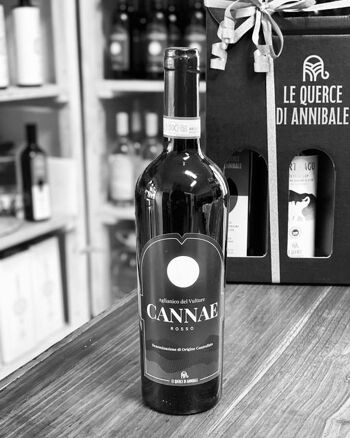 CANNAE, Aglianico del Vulture 2