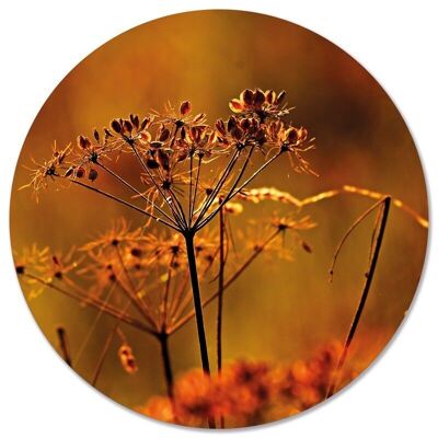 Cerchio da parete fiore essiccato arancione - Ø 20 cm - Dibond - Consigliato