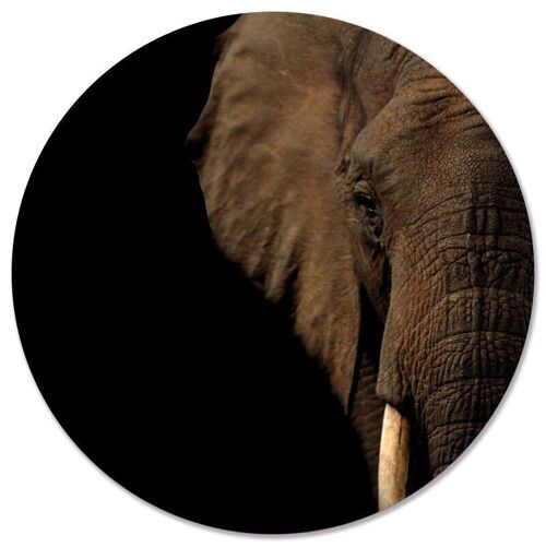 Muurcirkel olifant hoofd - Ø 20 cm - Dibond - Aanbevolen
