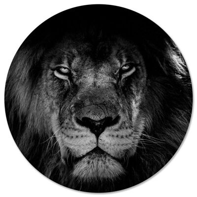 Wall circle lion bw - Ø 20 cm - Dibond - Recommended