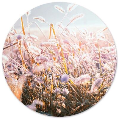 Cerchio da parete fiore invernale mattutino - Ø 20 cm - Dibond - Consigliato
