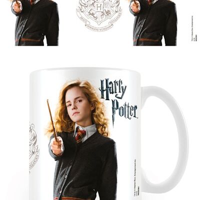 HARRY POTTER HERMOINE GRANGER