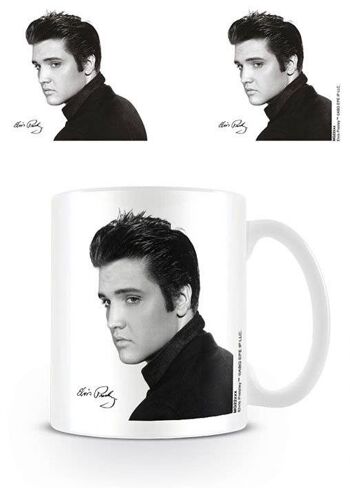 PORTRAIT D'ELVIS