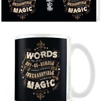 HARRY POTTER FONTE DI MAGIA