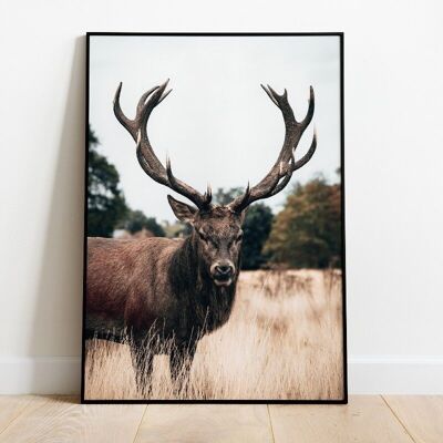 Reindeer poster - A4