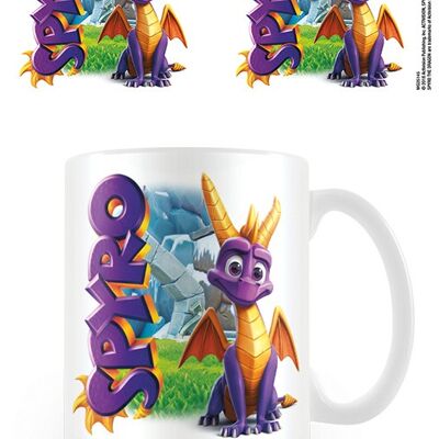 SPYRO GUTER DRACHE