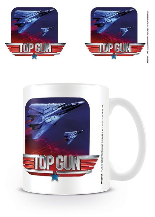 TOP GUN FIGHTER JETS