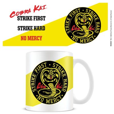 COBRA KAI NO MERCY