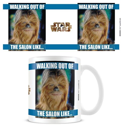 STAR WARS WALKING OUT OF THE SALON
