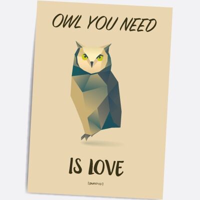 Owl you need - A5 Punshop