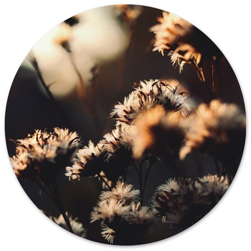 Fiore mistico cerchio da parete - Ø 30 cm - Forex