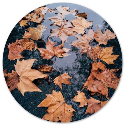 Wall circle leaf - Ø 30 cm - Forex
