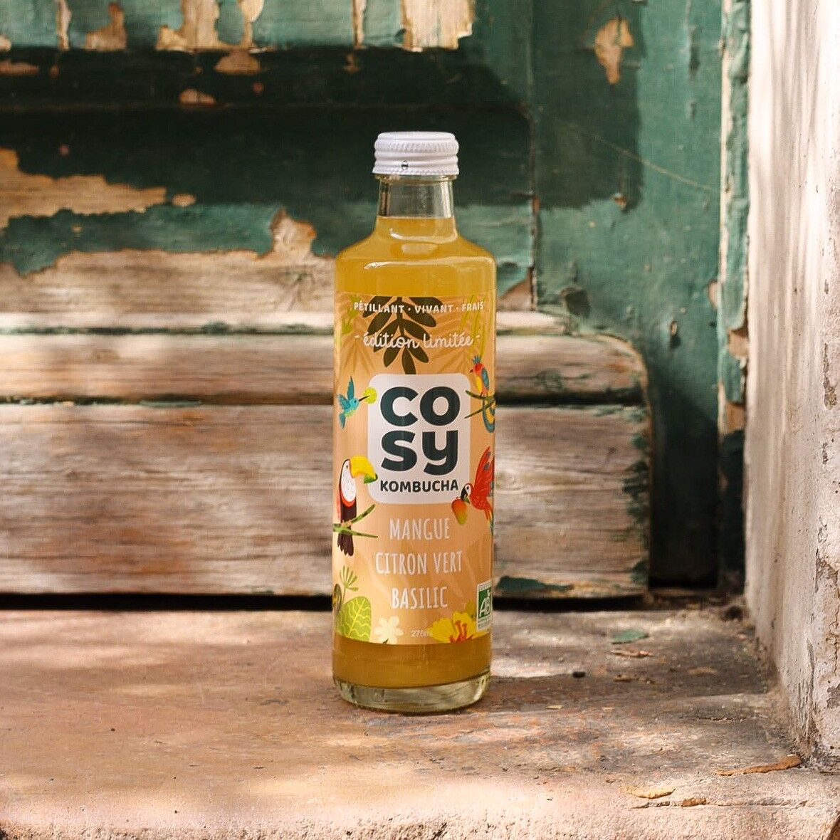 Kombucha Mango Limette Basilikum