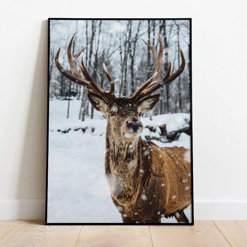 Póster invierno - A3