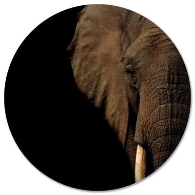 Testa di elefante circolare da parete - Ø 30 cm - Dibond - Consigliato