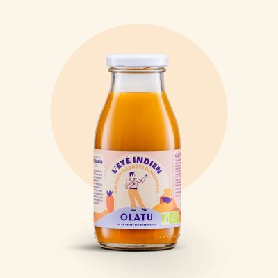 Eté Indien 25cl BIO - Mangue Carotte Pomme Gingembre Curcuma