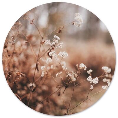 Wandkreis gemütliche Blume - Ø 30 cm - Dibond - Empfohlen