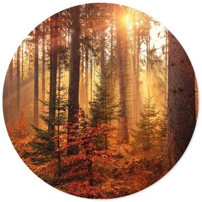 Forest wall circle - Ø 30 cm - Dibond - Recommended