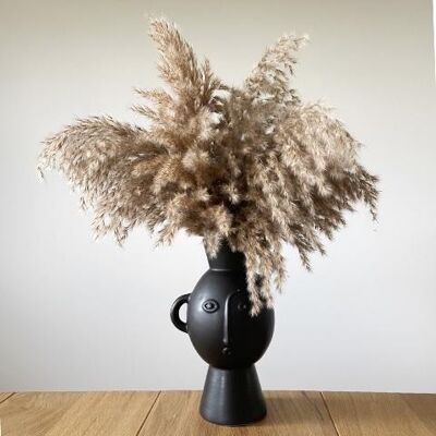 Pampas Grass "Midi Fluffy" | 5pcs | natural color