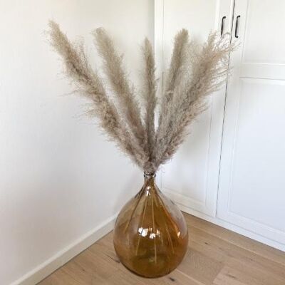 Pampas Grass "Fluffy" | 5pcs| natural grey