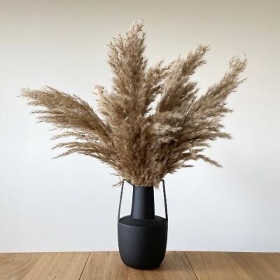 Pampas Grass "Extra Fluffy" | 5pcs | natural color