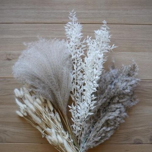 Natural Whites | Dried Flower Friends