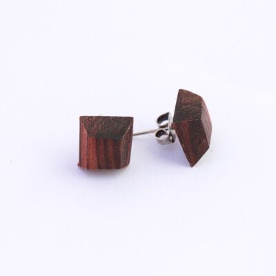 Kingwood ear studs