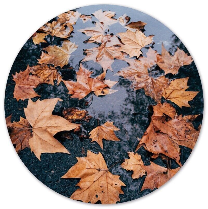 Foglia circolare da parete - Ø 40 cm - Forex