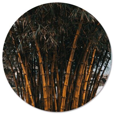 Bamboo wall circle - Ø 40 cm - Dibond - Recommended